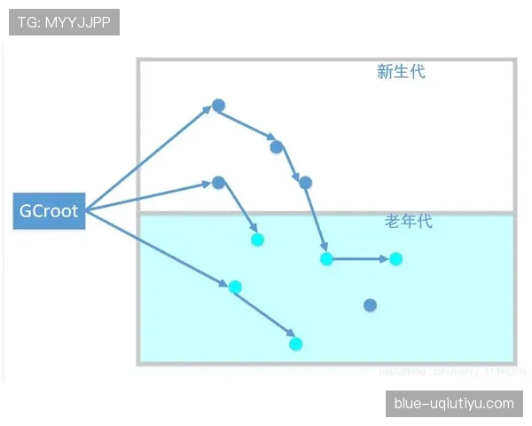 详细解析篮球场上边线规则的判定界限与执行